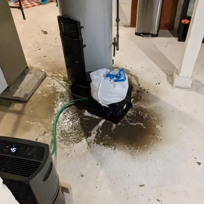 Sewage Backup Cleanup Service in Punta Santiago, PR